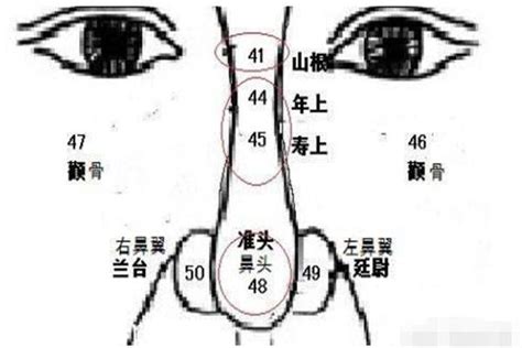 鼻孔有痣|左边鼻子下面有颗痣好不好 鼻子下面有颗痣代表什么意思